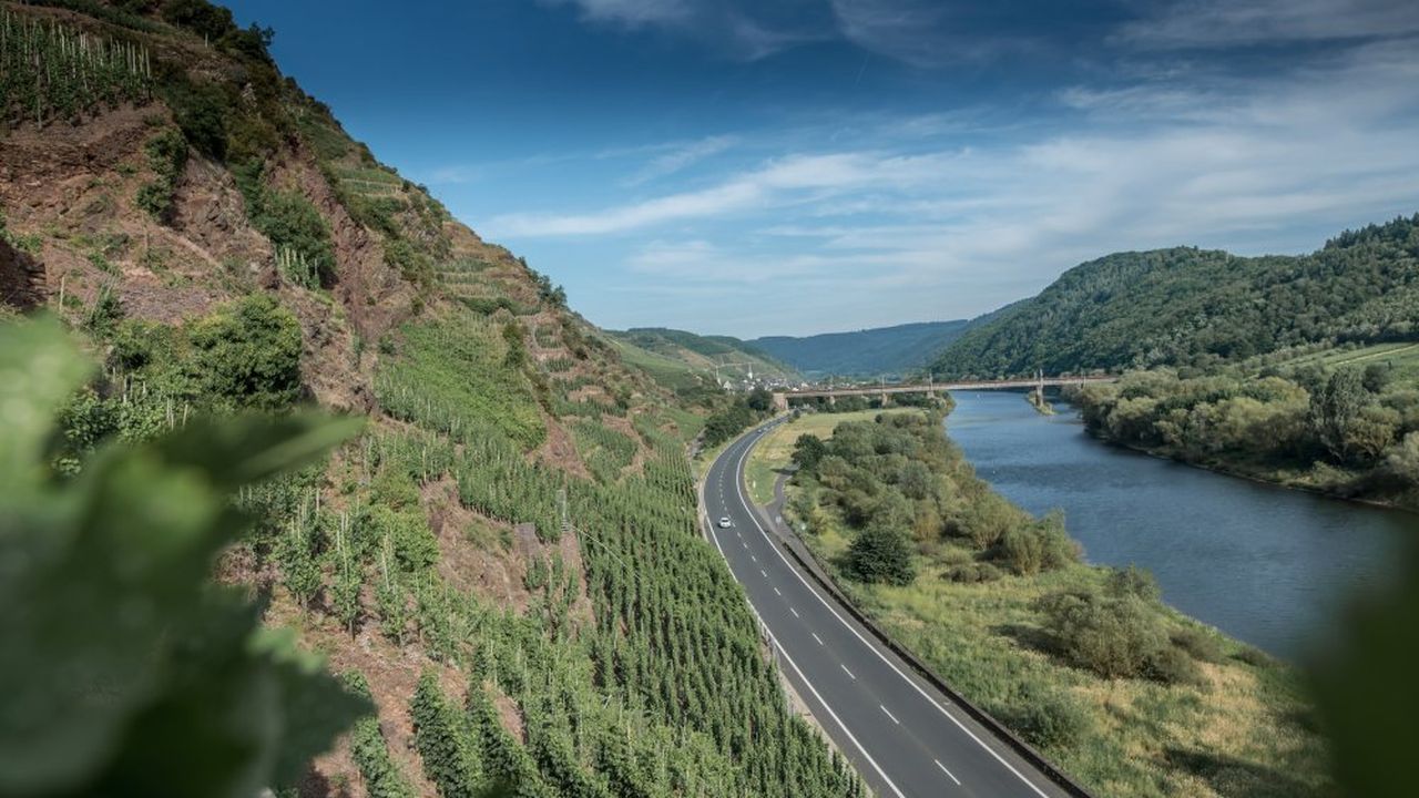 Calmontblick Calmontblick